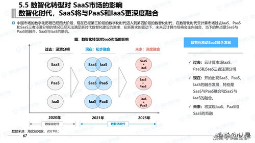 2021年中國SaaS市場研究報(bào)告與互聯(lián)網(wǎng)區(qū)塊鏈技術(shù)研究開發(fā)服務(wù)